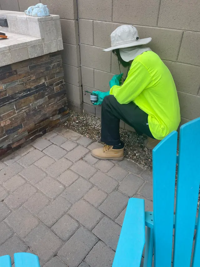 LMS Pest Solutions at work beside a residential patio wall