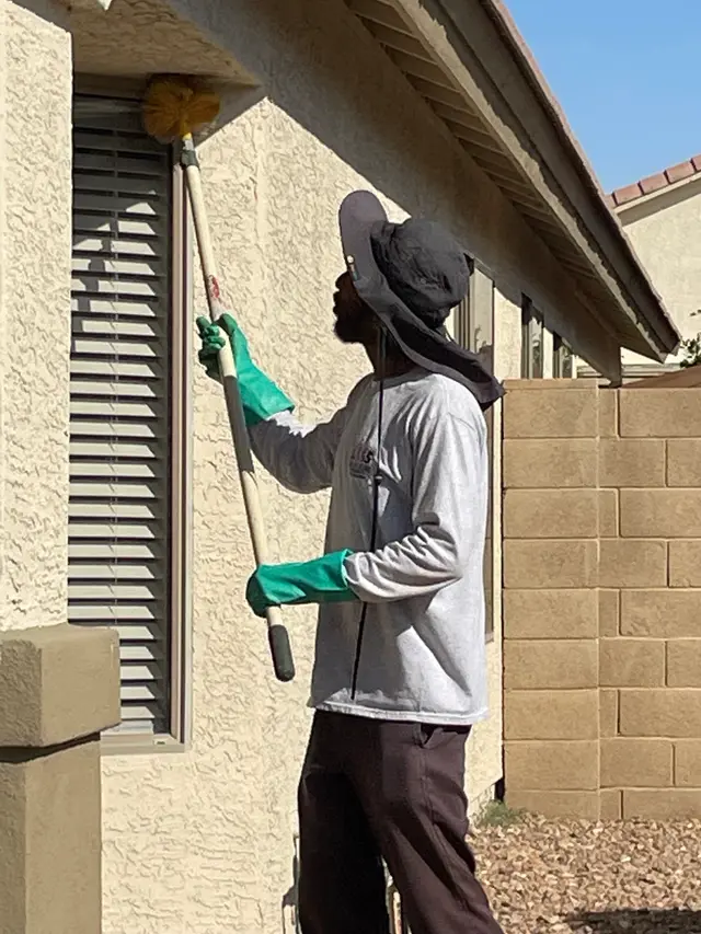 LMS Pest Solutions working beneath a home's eaves